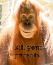 Kill Your Parents Monkey GIF - Kill Your Parents Monkey GIFs