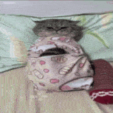 a cat is wrapped in a blanket with hello kitty on it