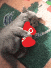 Amc Cat GIF - Amc Cat Catfoodcannon GIFs