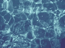 Water Crystal GIF