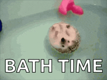 Bathtime GIF - Bathtime GIFs