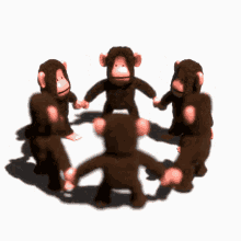 Spinning Monkey Monkey GIF - Spinning Monkey Monkey Spin GIFs