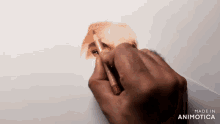 a person is drawing a face with a pencil and the words made in animotica are on the bottom