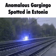 Gargingo Gargingo Flood GIF - Gargingo Gargingo Flood Anomaly GIFs