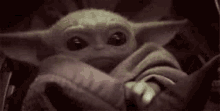Hide Fave Baby Yoda GIF