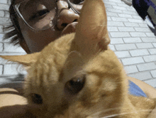 a woman wearing glasses holds a cat in her lap