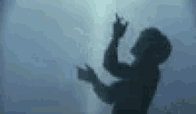 a shadow of a person standing in front of a wall with their hands in the air .