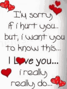 love you sorry sorry if i hurt you