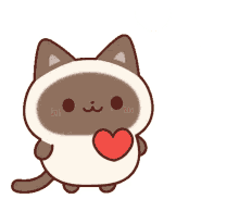 shamu cat sticker heart