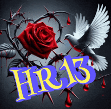 a picture of a red rose and a white dove with the words hr13 on it