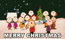 Merry Christmas Charlie Brown GIF