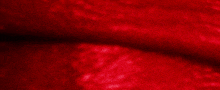 a close up of a red background with a shadow on it