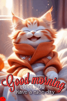 a cat wearing a sweater and scarf says good morning