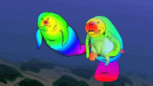 a cartoon drawing of two manatees swimming in the water