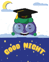 Vmalifesg Good Night Graduate Sticker - Vmalifesg Good Night Graduate Stickers