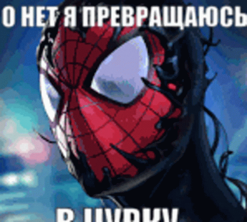 о нет я потерялся перевод на английский