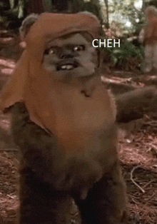 a teddy bear with cheh written on it 's face