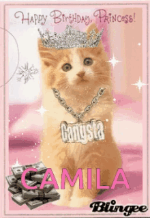 Cat Lady Gangsta GIF - Cat Lady Gangsta Happy Birthday GIFs