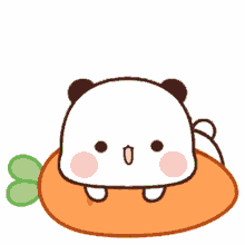 panda carrot