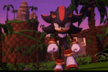 shadow the hedgehog is standing in the middle of a lush green field in a video game .