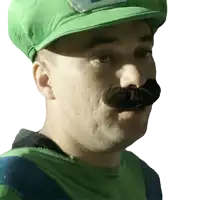 a man with a green hat and mustache is dressed as luigi from super mario