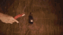 a close up of a person 's hand in a dark room .
