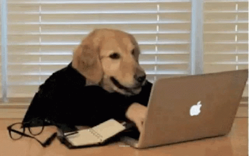 Dog Funny GIF - Dog Funny Laptop - Discover & Share GIFs