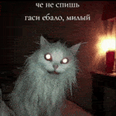 a white cat with glowing eyes is sitting on a bed next to a lamp with russian writing on it
