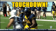 Touchdown GIF - Touchdown Catch Ball Catch GIFs