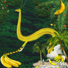 a picture of a snake made out of bananas with picmix in the corner