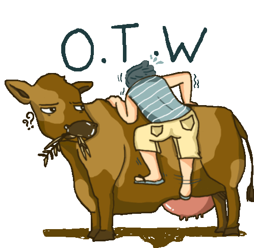 Man Trying To Ride A Cow Says Otw In English Sticker - Cow Eating Bored Stickers