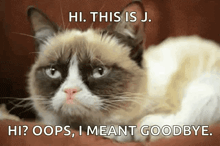 a grumpy cat laying down with a caption that says hi this is j. hi oops i meant goodbye