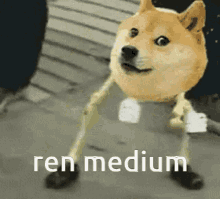 ren medium littlemedi doge funny