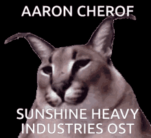 Sunshine Heavy Industries Aaroncherof GIF - Sunshine Heavy Industries Aaroncherof GIFs