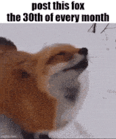 a fox is standing in the snow with its mouth open and a caption that says post this fox the 30th of every month .