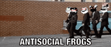 Antisocial Frog GIF - Antisocial Frog GIFs