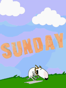 Sunday Dog GIF