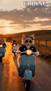 three cats are riding scooters down a dirt road and the word erdinc is on the bottom right