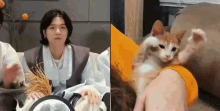 Yoongi Cat Suga Cat GIF - Yoongi Cat Suga Cat GIFs