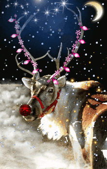 Rudolph The Red Nosed Reindeer GIF