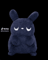 a stuffed animal with big eyes and the word tiktok on the bottom right