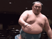 Sumo Sumo Wrestler GIF - Sumo Sumo Wrestler Sumo Wrestling GIFs