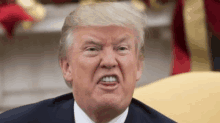 Trump Ugly GIF - Trump Ugly GIFs
