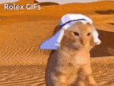a cat wearing a turban and hat in the desert