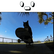 Skate Kanji Cat GIF - Skate Kanji Cat GIFs