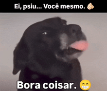 a black dog with its tongue out and the words bora coisar