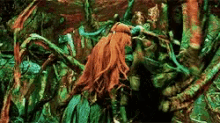 a spider with red hair is crawling through a lush green forest