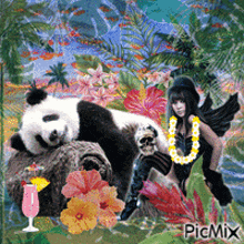 Woman And Tropical Panda Cocktail GIF - Woman And Tropical Panda Panda Woman GIFs