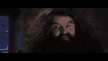 Hagrid Sorcier GIF - Hagrid Sorcier Salope GIFs