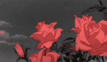 Red Aesthetic GIF - Red Aesthetic Flower GIFs